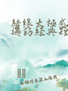 结缘太极感恩相遇的经典短句