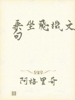 乘坐飞机文案短句