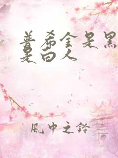 普希金是黑人还是白人