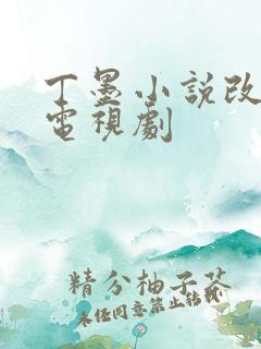 丁墨小说改编的电视剧