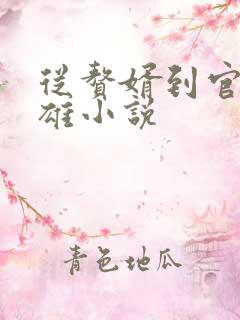 从赘婿到官道枭雄小说