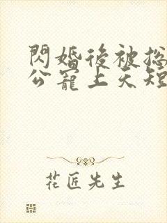 闪婚后被总裁老公宠上天短剧全集4/4