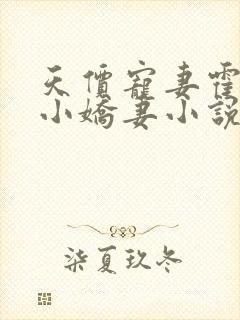 天价宠妻霍总的小娇妻小说免费读