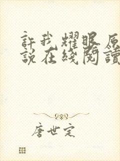 许我耀眼原著小说在线阅读