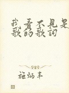 我看不见是哪首歌的歌词