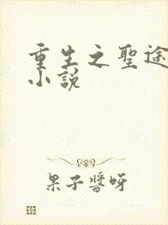 重生之圣途风流小说