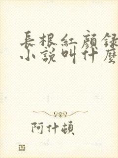 长根红颜录原著小说叫什么名字
