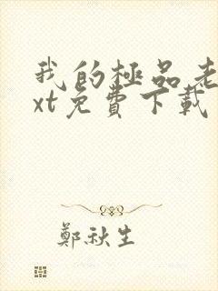 我的极品老婆txt免费下载