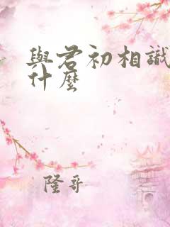 与君初相识讲的什么