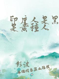 印度人是黑人还是黄种人