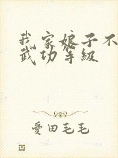 我家娘子不对劲武功等级