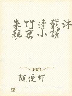 朱竹清戴沐白的亲密小说