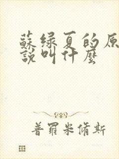 苏绿夏的原著小说叫什么