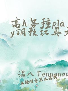 高h各种play调教玩具文