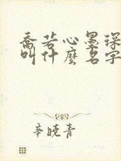 乔若心墨琛小说叫什么名字