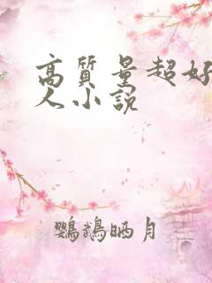 高质量超好看同人小说