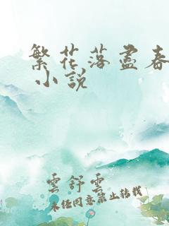 繁花落尽春欲暮 小说