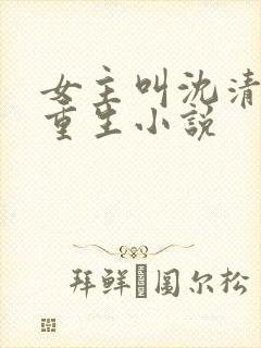 女主叫沈清月的重生小说