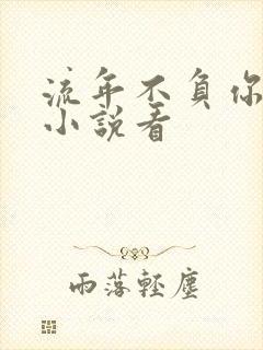 流年不负你情深小说看