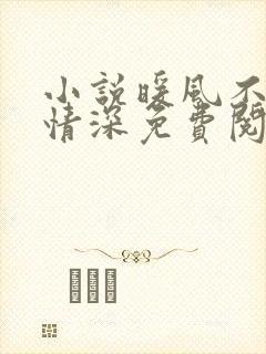 小说暖风不及你情深免费阅读