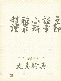 赵雅小说免费阅读最新章节