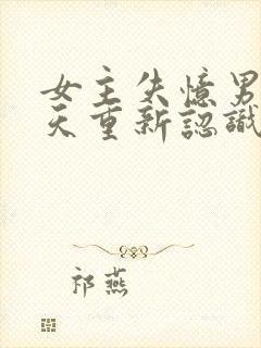 女主失忆男主每天重新认识她