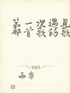 第一次遇见你是哪首歌的歌词