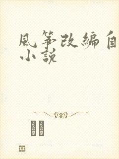 风筝改编自哪部小说