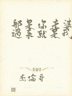 那是你老婆?抢过来就是我的了txt