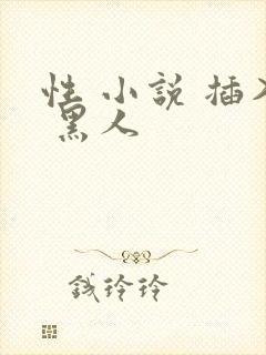 性 小说 插入 黑人