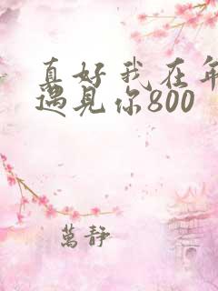真好 我在年少遇见你800