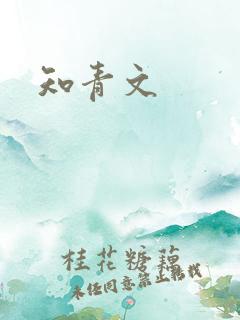 知青文