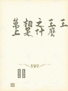 万相之王王境之上是什么