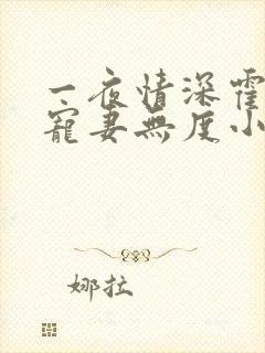 一夜情深霍先生宠妻无度小说