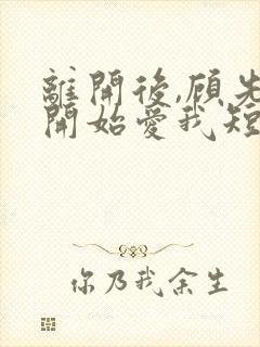 离开后,顾先生开始爱我短剧大结局