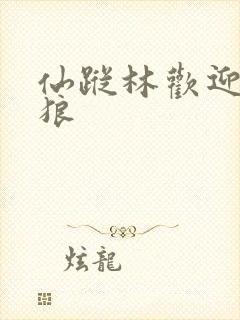 仙踪林欢迎你老狼