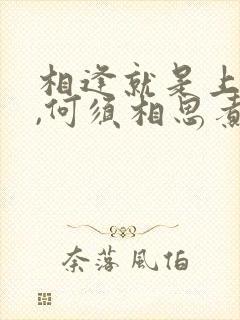 相逢就是上上签,何须相思煮余年