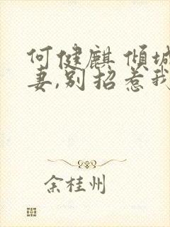 何健麒 倾城娇妻,别招惹我