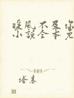 暖风不及你情深小说全本免费