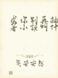 求你别再抽了原著小说叫什么