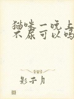 猫咪一晚上不拉不尿可以吗