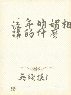 流年明媚相思谋讲的什么