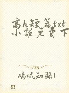 高h短篇txt小说免费下载