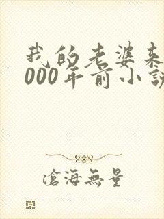 我的老婆来自1000年前小说免费阅读,无弹窗