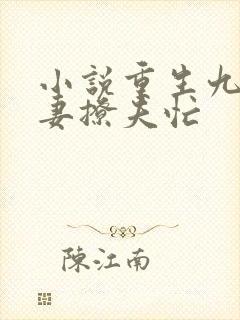 小说重生九零甜妻撩夫忙
