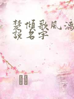 楚倾歌风漓夜小说名字