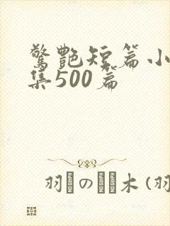 惊艳短篇小说合集500篇