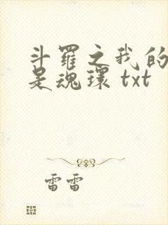 斗罗之我的武魂是魂环 txt