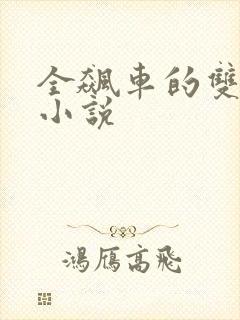 全飙车的双男主小说