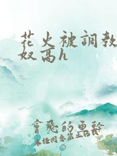 花火被调教成肉奴高h